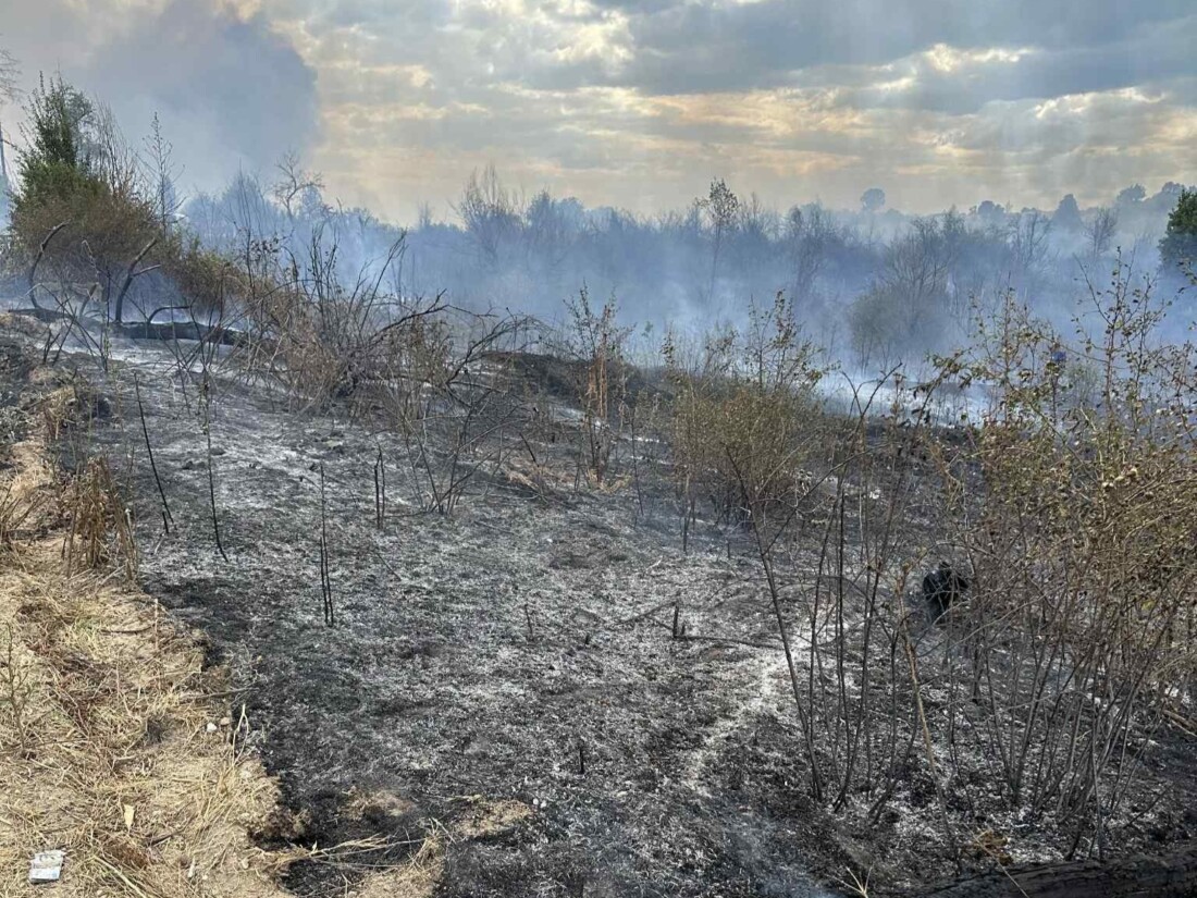 Огнеборци гасят огромен пожар край Старосел (СНИМКИ)