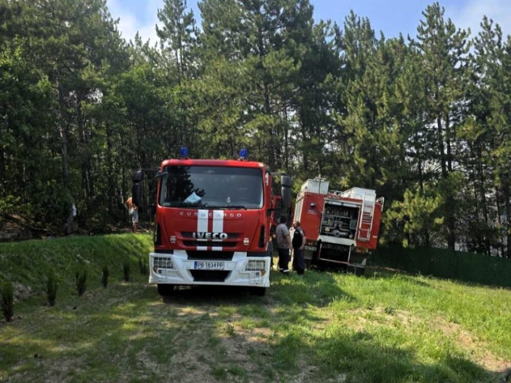 Потушен е пожарът край Асеновград