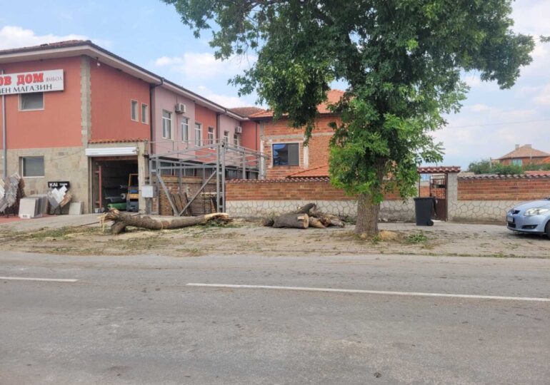 Раковски се възстановява след бурята: Каква е ситуацията в града? (СНИМКИ)