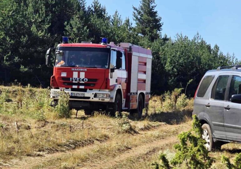 Голям пожар бушува над асеновградското село Добростан (СНИМКИ)