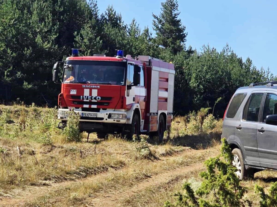 Голям пожар край Асеновград, на място са огнеборци и доброволци