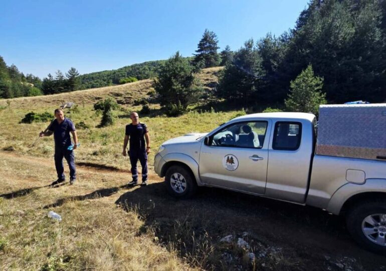 Голям пожар бушува над асеновградското село Добростан (СНИМКИ)
