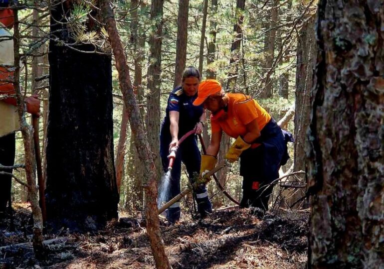 Доброволци помогнаха на пожарникарите в битката с огъня над Добростан (СНИМКИ)