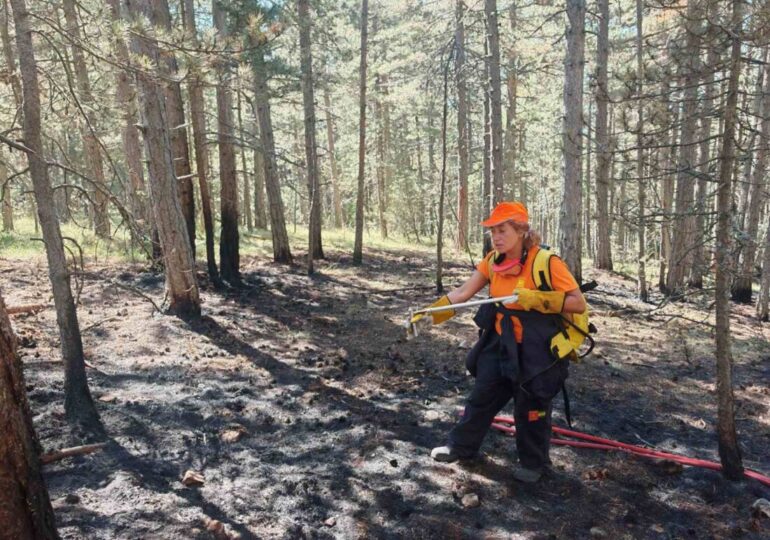 Доброволци помогнаха на пожарникарите в битката с огъня над Добростан (СНИМКИ)