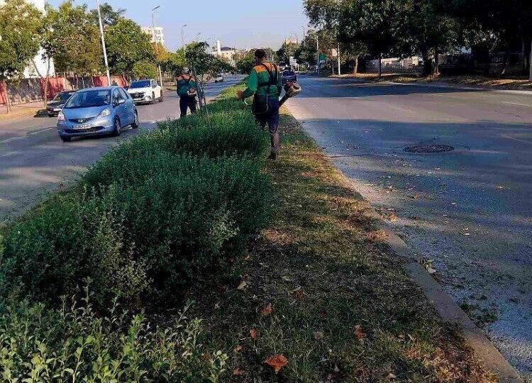 ОП "Градини и паркове" продължават облагородяването на зелените площи край булевардите в Пловдив (ГАЛЕРИЯ)