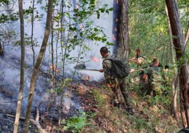 За пореден ден: Военни помагат в гасенето на големите пожари у нас (СНИМКИ)
