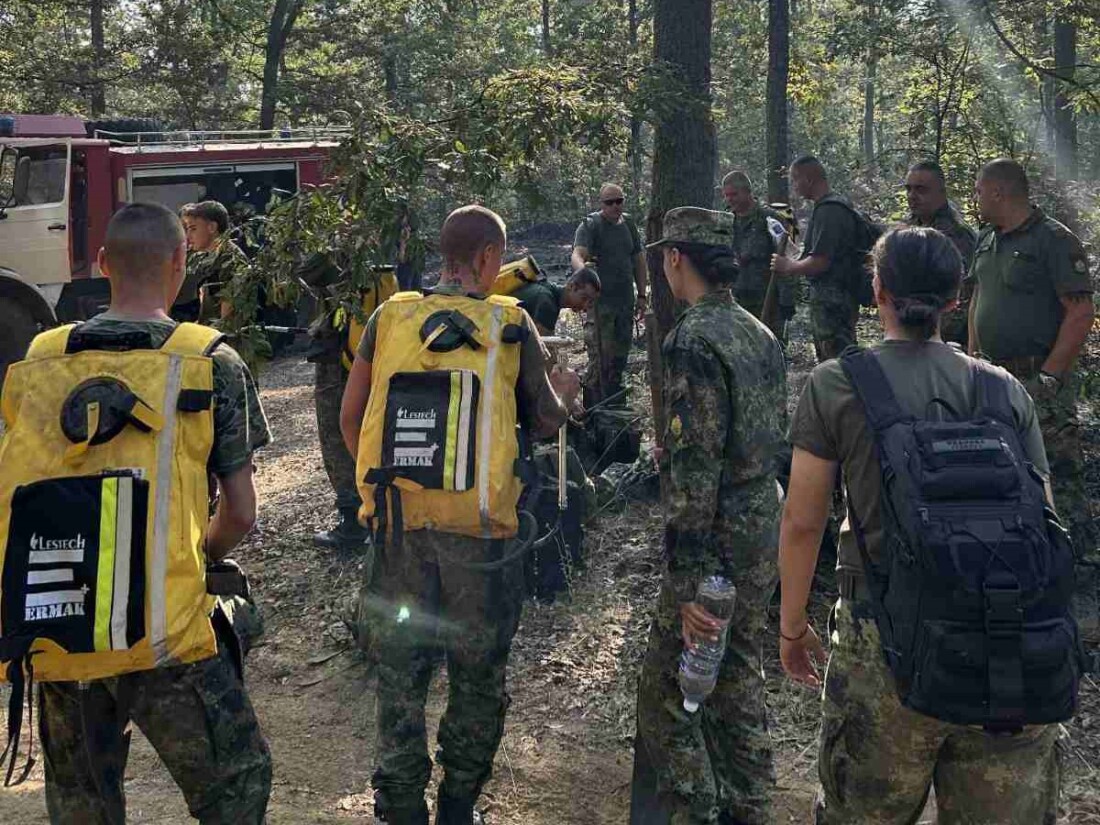 За пореден ден: Военни помагат в потушаването на пожарите у нас (СНИМКИ)