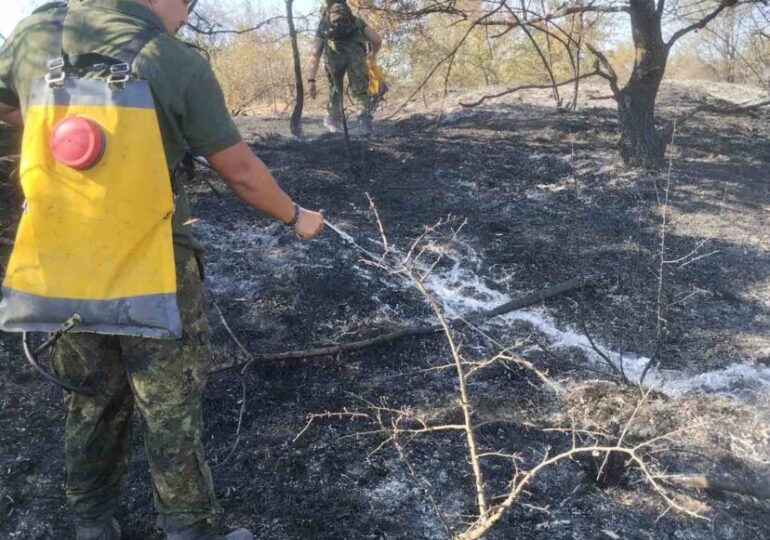 За пореден ден: Военни помагат в гасенето на големите пожари у нас (СНИМКИ)