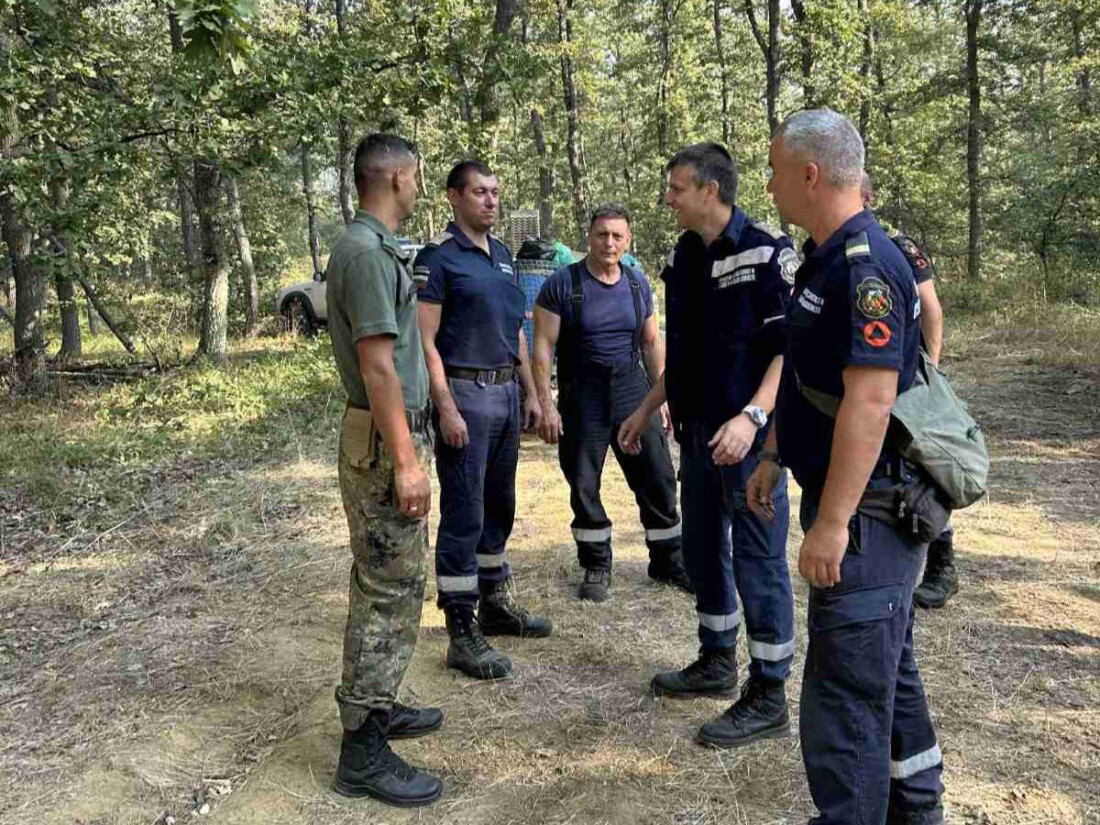 За пореден ден: Военни помагат в потушаването на пожарите у нас (СНИМКИ)