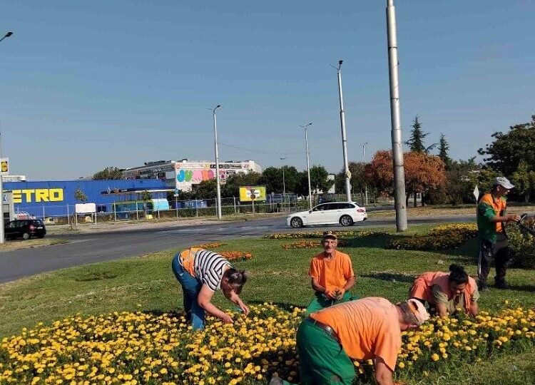 ОП "Градини и паркове" продължават облагородяването на зелените площи край булевардите в Пловдив (ГАЛЕРИЯ)
