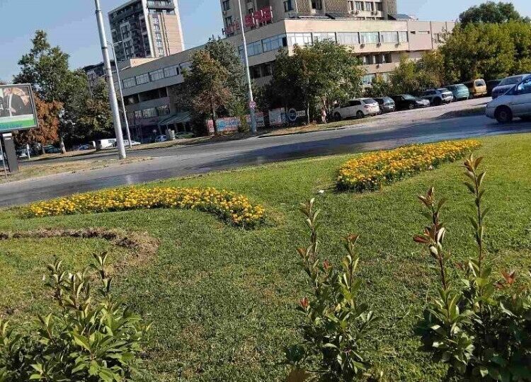 ОП "Градини и паркове" продължават облагородяването на зелените площи край булевардите в Пловдив (ГАЛЕРИЯ)