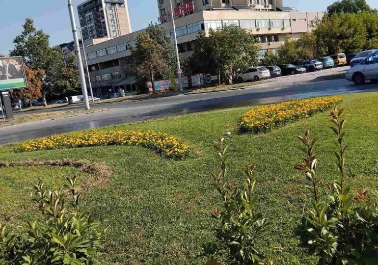 ОП "Градини и паркове" продължават облагородяването на зелените площи край булевардите в Пловдив (ГАЛЕРИЯ)