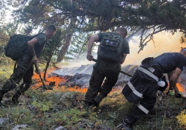 За пореден ден: Военни помагат в потушаването на пожарите у нас (СНИМКИ)
