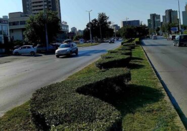 ОП "Градини и паркове" продължават облагородяването на зелените площи край булевардите в Пловдив (ГАЛЕРИЯ)