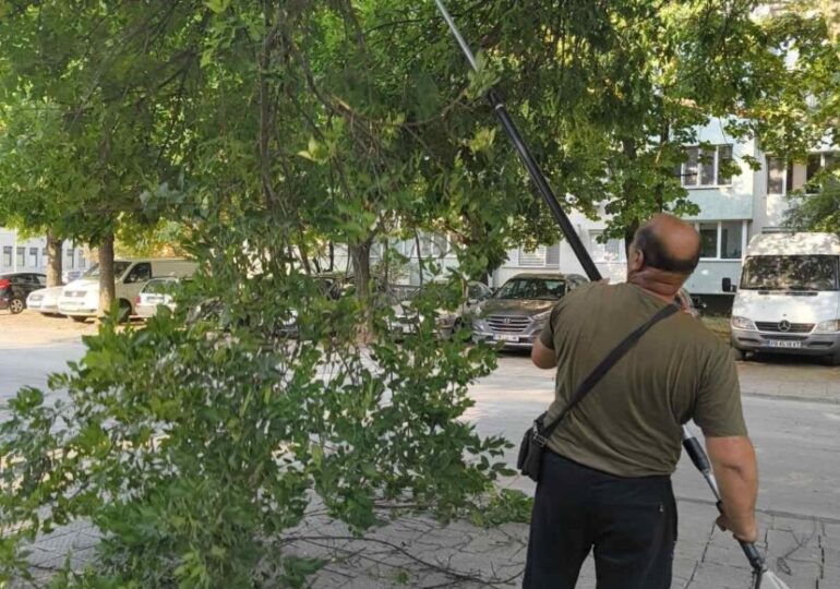 За 15-и септември: ОП "Градини и паркове" подготвя пространствата около учебните заведения СНИМКИ)