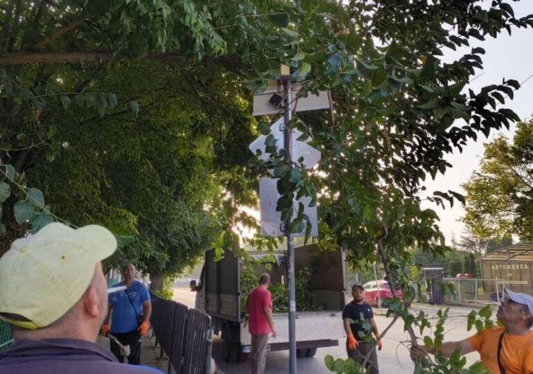 За 15-и септември: ОП "Градини и паркове" подготвя пространствата около учебните заведения СНИМКИ)