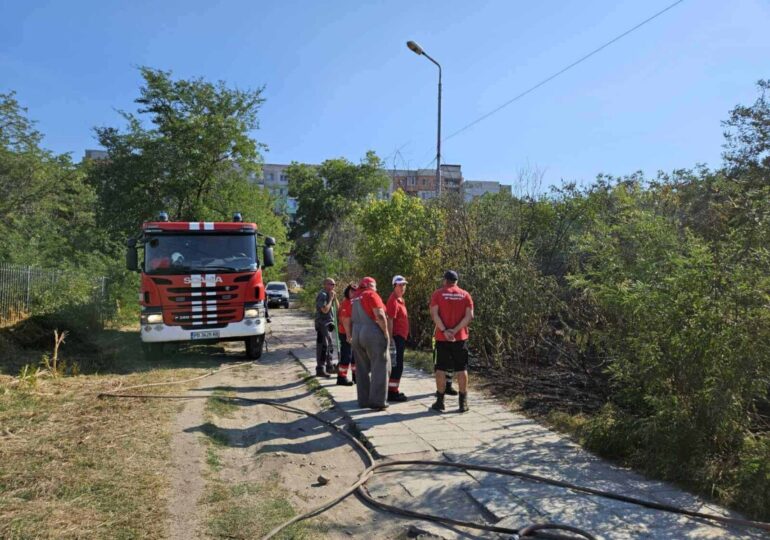 Доброволци гасиха пожар край Ботаническата градина в "Тракия" (СНИМКИ)
