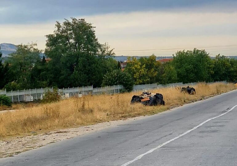 Почистиха огромно количество отпадъци, изхвърлени край улица в Асеновград (СНИМКИ)