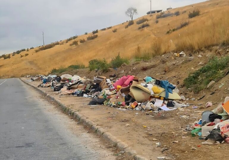 Почистиха огромно количество отпадъци, изхвърлени край улица в Асеновград (СНИМКИ)