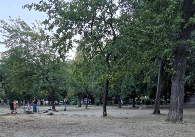 Депото в Асеновград ще приема отпадъци безплатно за два дни
