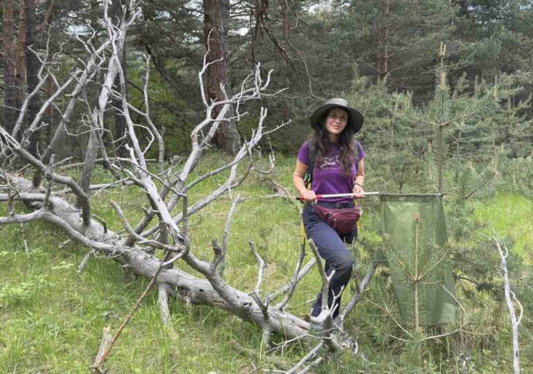 Пловдивският природонаучен музей с лекция за Карл Линей и 290 години от първото издание на Systema Naturae
