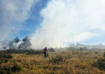 Пожар гори над село Добростан (СНИМКИ)