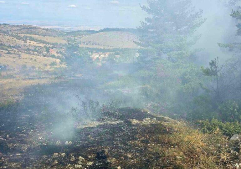 Пожар гори над село Добростан (СНИМКИ)
