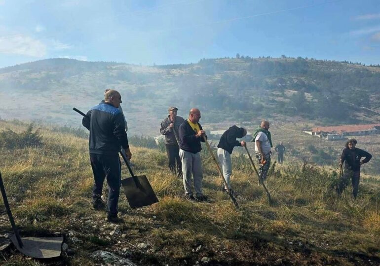 Пожар гори над село Добростан (СНИМКИ)