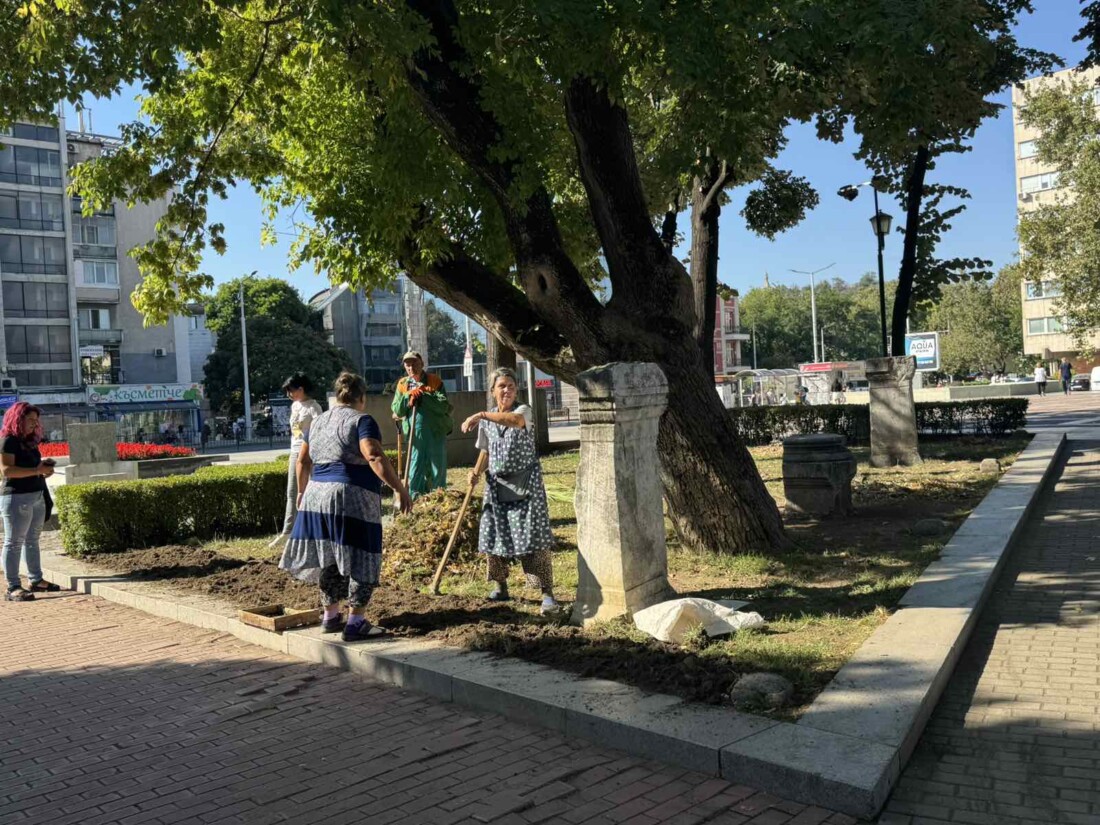 ОП „Градини и паркове“ облагородява зелените площи на площад „Съединение“ за празника на Пловдив (СНИМКИ)