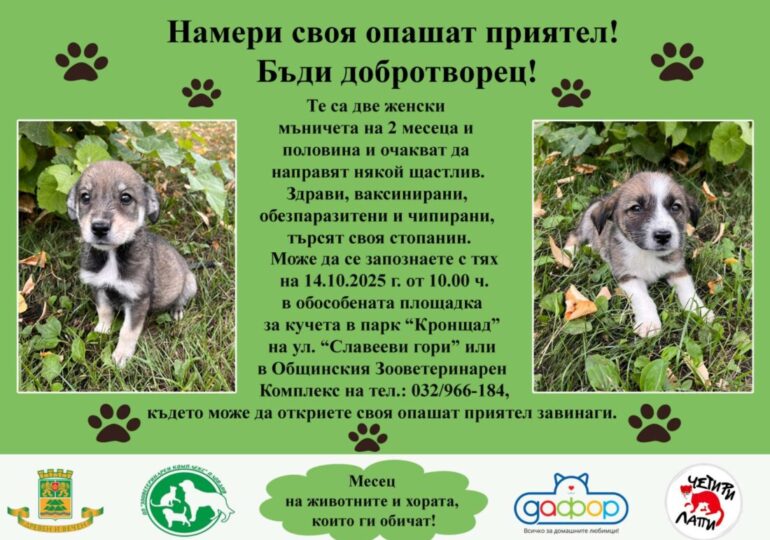 „Месец на животните и хората, които ги обичат“ започна в район „Южен“ (СНИМКИ)