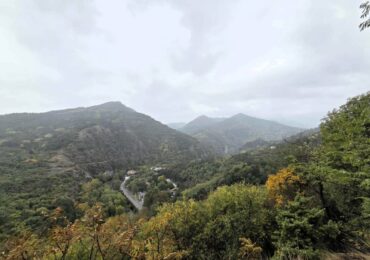 Празник на местното производство събира стотици в Асеновград