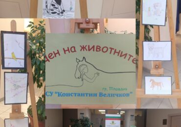 „Месец на животните и хората, които ги обичат“ започна в район „Южен“ (СНИМКИ)