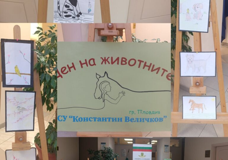 „Месец на животните и хората, които ги обичат“ започна в район „Южен“ (СНИМКИ)