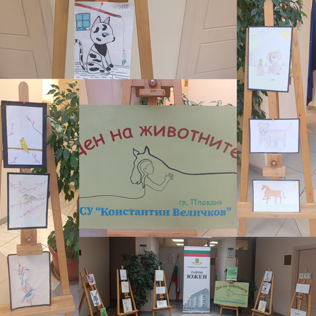 „Месец на животните и хората, които ги обичат“ започна в район „Южен“ (СНИМКИ)