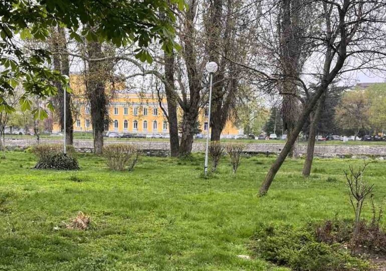 Община Асеновград раздава безплатно фиданки за засаждане