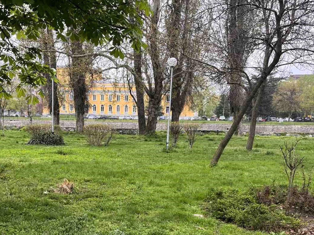 Община Асеновград раздава безплатно фиданки за засаждане