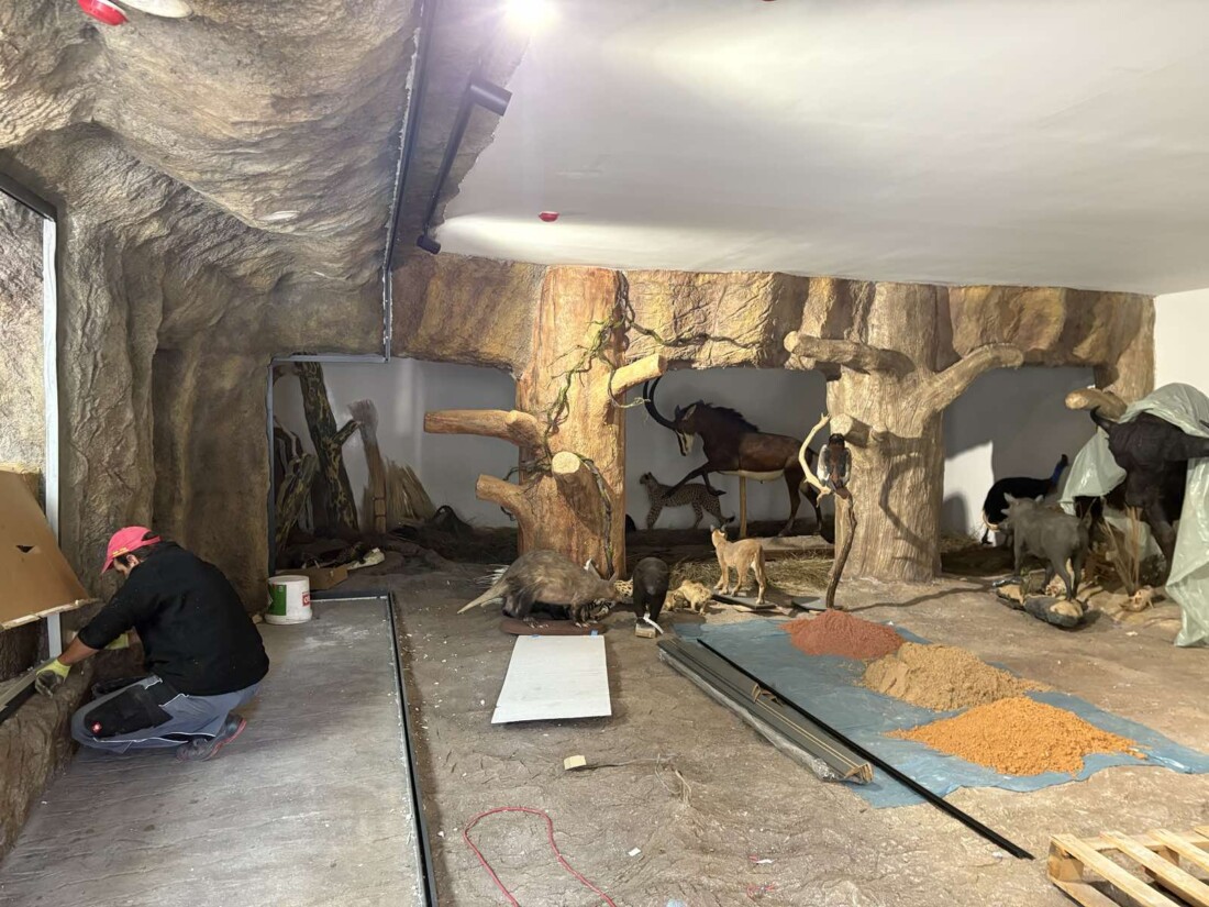 Ново зоокафе и зала отварят врати към Природонаучния музей в Пловдив (СНИМКИ) 1 Ново зоокафе и зала отварят врати към Природонаучния музей в Пловдив (СНИМКИ)