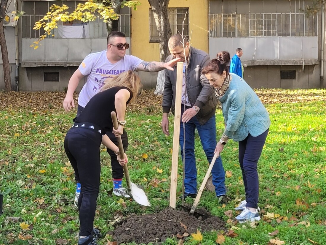ГЕРБ с поредна залесителна акция в „Западен“ в Пловдив (СНИМКИ)