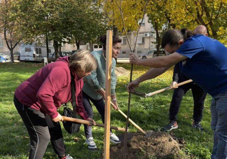 ГЕРБ с поредна залесителна акция в „Западен“ в Пловдив (СНИМКИ)