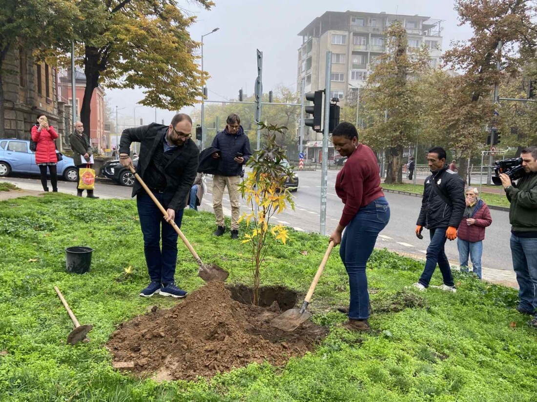 Световноизвестната джаз певица Лиз Райт засади дръвче Ликвидамбър в Пловдив (СНИМКИ)