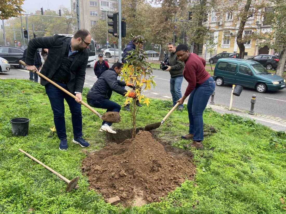 Световноизвестната джаз певица Лиз Райт засади дръвче Ликвидамбър в Пловдив (СНИМКИ)