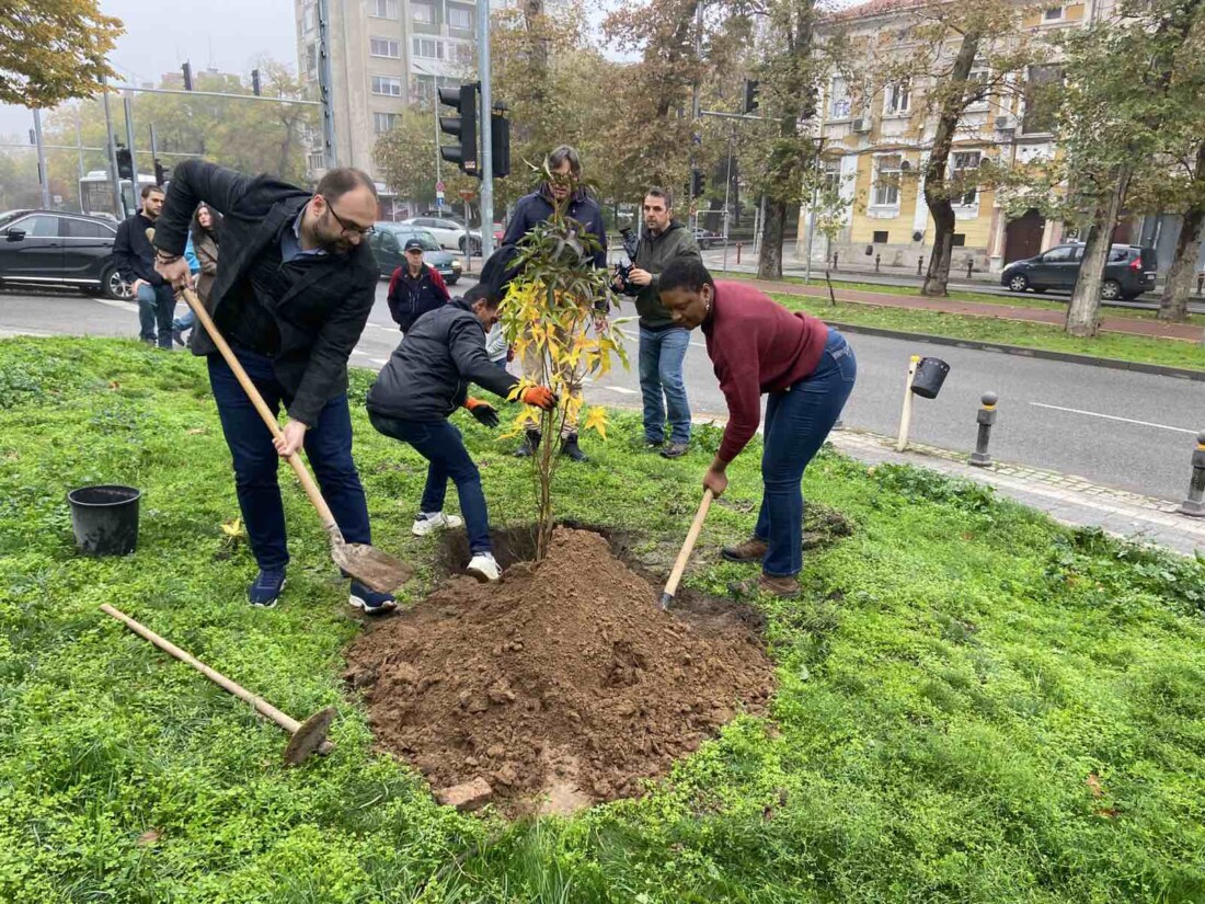 Световноизвестната джаз певица Лиз Райт засади дръвче Ликвидамбър в Пловдив (СНИМКИ)