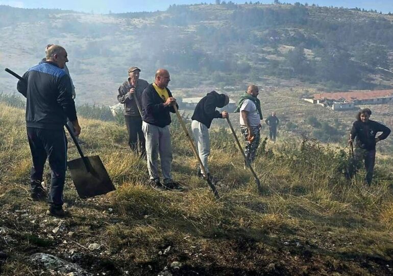 Конкурс за есе, свързано с доброволците, предизвиква ученици от цялата страна