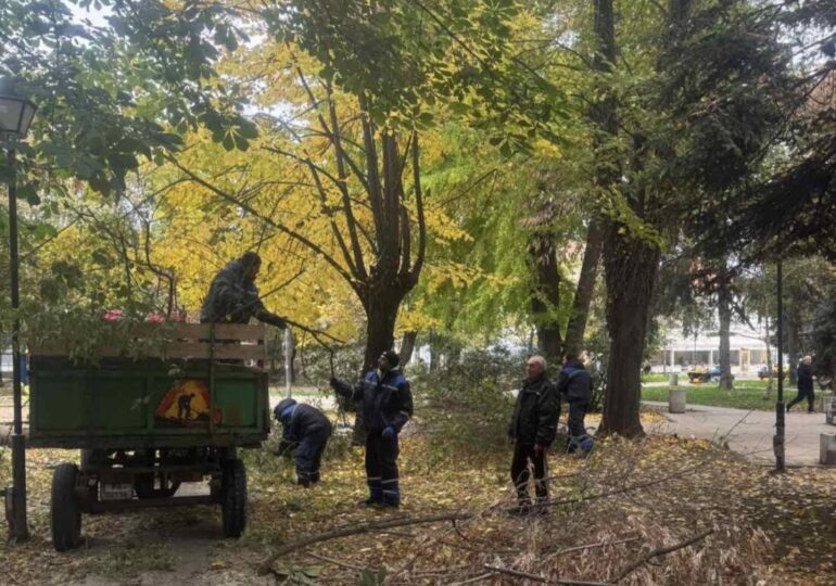 Започна санитарна сеч в Градската градина на Пазарджик (СНИМКИ)