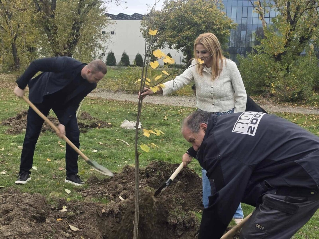 Засадиха нови дръвчета в "Тракия" (СНИМКИ) 1 Засадиха нови дръвчета в "Тракия" (СНИМКИ)