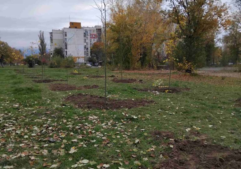 Засадиха нови дръвчета в "Тракия" (СНИМКИ) 5 Засадиха нови дръвчета в "Тракия" (СНИМКИ)
