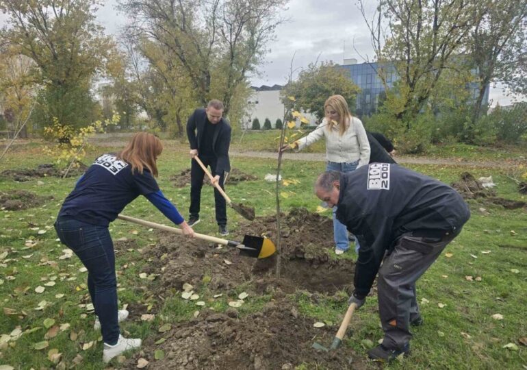 Засадиха нови дръвчета в "Тракия" (СНИМКИ) 2 Засадиха нови дръвчета в "Тракия" (СНИМКИ)