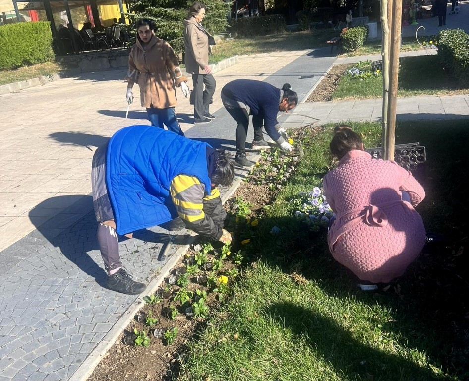 Хиляди есенни цветя красят Асеновград (СНИМКИ)