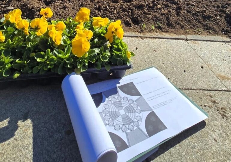 Хиляди есенни цветя красят Асеновград (СНИМКИ)