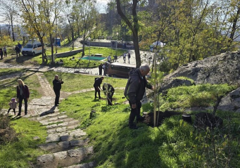 Район "Централен" и "Бизнесът за Пловдив" в обща мисия: 100 нови дръвчета на Сахат тепе (СНИМКИ и ВИДЕО) 6 Район "Централен" и "Бизнесът за Пловдив" в обща мисия: 100 нови дръвчета на Сахат тепе (СНИМКИ и ВИДЕО)